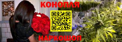 гашик Жуковский