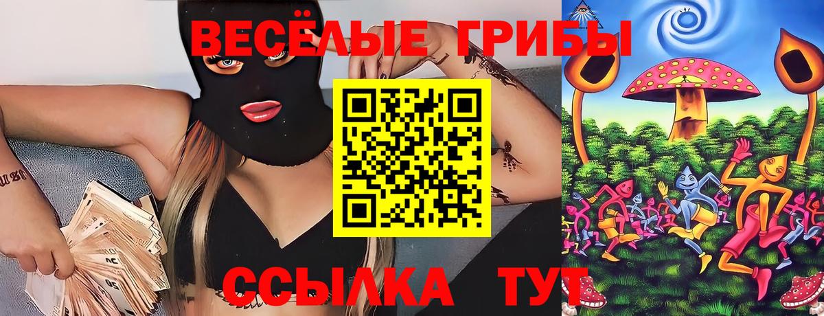 Псилоцибиновые грибы Psilocybine cubensis Ливны