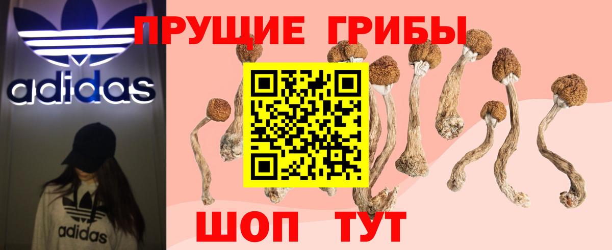 Ливны  Псилоцибиновые грибы мухоморы  Вход с VPN  Галлюциногенные грибы Magic Shrooms 